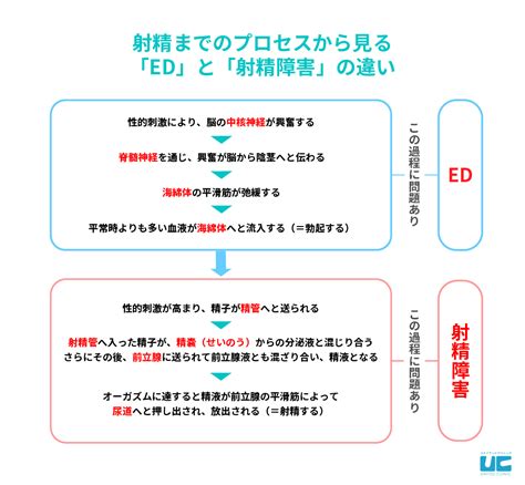 【膣内射精障害の原因】足ピンオナニーのやめ方